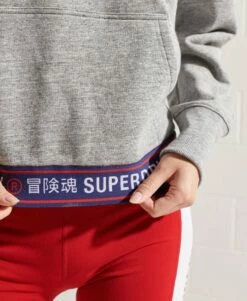 SUPERDRY Sportstyle Chenille Hoodie Grey Slub Grindle -Sportswear Sales 2022 upload9223368955665783500