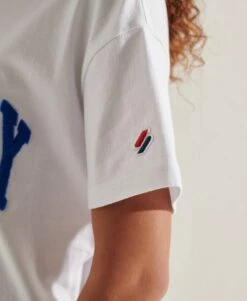 SUPERDRY Varsity Arch Boxy T-Shirt Optic -Sportswear Sales 2022 upload9223368955665793515