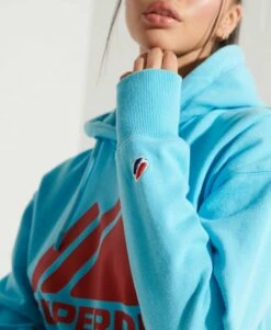 SUPERDRY Mountain Sport Mono Hoodie Aquamarine 12 SUPERDRY Mountain Sport Mono Hoodie Aquamarine -Sportswear Sales 2022 upload9223368955665798991