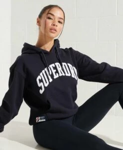 SUPERDRY Varsity Arch Mono Hoodie Ice Marl 15 SUPERDRY Varsity Arch Mono Hoodie Ice Marl -Sportswear Sales 2022 upload9223368955665799108 1