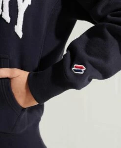 SUPERDRY Varsity Arch Mono Hoodie Ice Marl 13 SUPERDRY Varsity Arch Mono Hoodie Ice Marl -Sportswear Sales 2022 upload9223368955665799111