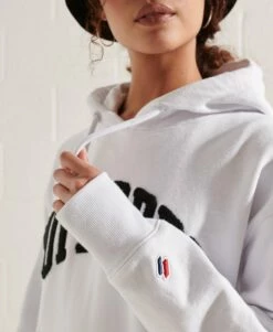 SUPERDRY Varsity Arch Mono Hoodie Ice Marl 10 SUPERDRY Varsity Arch Mono Hoodie Ice Marl -Sportswear Sales 2022 upload9223368955665848251