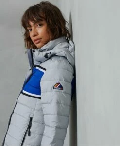 Sportswear Sales 2022 -Sportswear Sales 2022 upload9223368955665878894