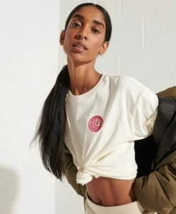 SUPERDRY Expedition Graphic T-Shirt Grey Slub Grindle -Sportswear Sales 2022 upload9223368955665939416 2