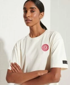 SUPERDRY Expedition Graphic T-Shirt Khaki -Sportswear Sales 2022 upload9223368955665939419