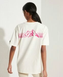 SUPERDRY Expedition Graphic T-Shirt Khaki -Sportswear Sales 2022 upload9223368955665939421