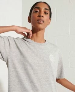 SUPERDRY Expedition Graphic T-Shirt Grey Slub Grindle -Sportswear Sales 2022 upload9223368955665939451 2