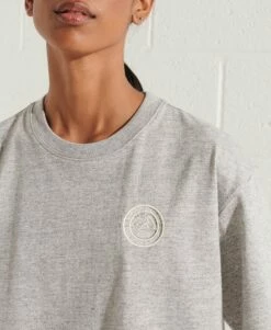SUPERDRY Expedition Graphic T-Shirt Grey Slub Grindle -Sportswear Sales 2022 upload9223368955665939454