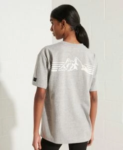 SUPERDRY Expedition Graphic T-Shirt Grey Slub Grindle -Sportswear Sales 2022 upload9223368955665939456