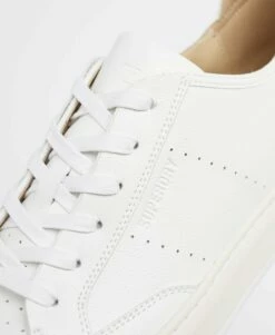 SUPERDRY Vegan Basket Sport Low Trainers Risk Red 14 SUPERDRY Vegan Basket Sport Low Trainers Risk Red -Sportswear Sales 2022 upload9223368955665939558