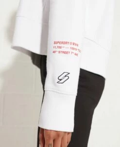 SUPERDRY Cooperate Logo Crop Hoodie Denver Orange -Sportswear Sales 2022 upload9223368955665940222