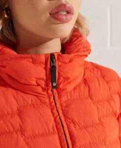 SUPERDRY Expedition Down SD-Windbreaker Jacket Superdry Olive 11 SUPERDRY Expedition Down SD-Windbreaker Jacket Superdry Olive -Sportswear Sales 2022 upload9223368955665947928