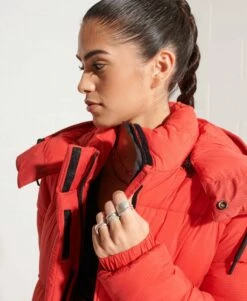 SUPERDRY Touchline Longline Padded Coat High Risk Red 11 SUPERDRY Touchline Longline Padded Coat High Risk Red -Sportswear Sales 2022 upload9223368955665950364