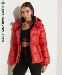 SUPERDRY Mountain Hooded Down Jacket Citrus Zest 17 SUPERDRY Mountain Hooded Down Jacket Citrus Zest -Sportswear Sales 2022 upload9223368955665953238 4