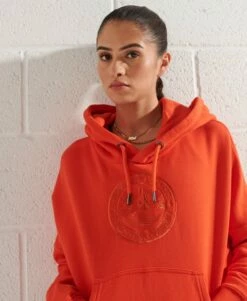 SUPERDRY Expedition Graphic Crop Hoodie Grey Slub Grindle -Sportswear Sales 2022 upload9223368955665953565