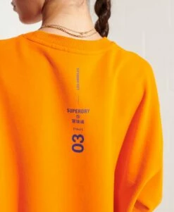 SUPERDRY Cooperate Logo Crew Sweatshirt Grey Marl -Sportswear Sales 2022 upload9223368955665953577