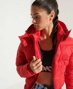 SUPERDRY Fuji Cropped Hooded Jacket Pelican 12 SUPERDRY Fuji Cropped Hooded Jacket Pelican -Sportswear Sales 2022 upload9223368955665953640