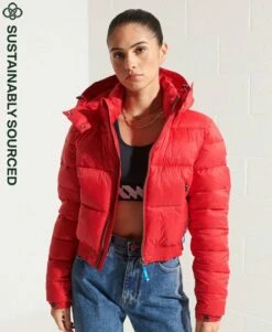 SUPERDRY Fuji Cropped Hooded Jacket Pelican 19 SUPERDRY Fuji Cropped Hooded Jacket Pelican -Sportswear Sales 2022 upload9223368955665953648 2