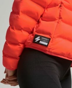 SUPERDRY All Seasons Padded Jacket Hyper Fire Coral 10 SUPERDRY All Seasons Padded Jacket Hyper Fire Coral -Sportswear Sales 2022 upload9223368955666037809