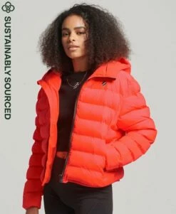 SUPERDRY All Seasons Padded Jacket Optic -Sportswear Sales 2022 upload9223368955666037812